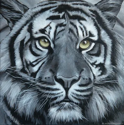 рисунок тигра, рисунок тигра, животное, дикая природа фон картинки и Фото  для бесплатной загрузки