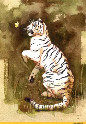 Tiger Whiskers Line art Черно-белый рисунок, тигр, белый, млекопитающее,  лицо png | PNGWing