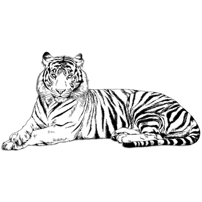 Разноцветный тигр, рисунок в стиле …» — создано в Шедевруме