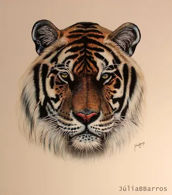 Тигр рисунок детский - 72 фото