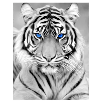 Фотообои Рисунок тигра акварелю купить в Москве, Арт. 17-4365 в  интернет-магазине, цены в Мастерфресок