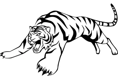Рисунок тушь кистью по сырому Тигр Пушок Stock Illustration | Adobe Stock