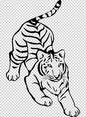 Бегущий свирепый тигр - Животные - Раскраски антистресс