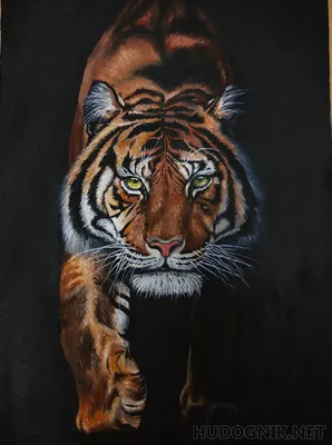 Модные фото обои в зал Животные 368х254 см 3D Два тигра Кошки Дикая природа  (130P8)+клей (ID#1025369324), цена: 1200 ₴, купить на Prom.ua
