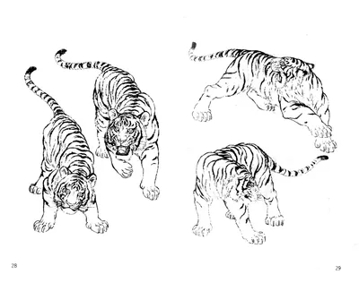 Тигр рисунок детский - 72 фото