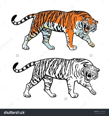 Милый тигр рисунок (64 фото) » Рисунки для срисовки и не только