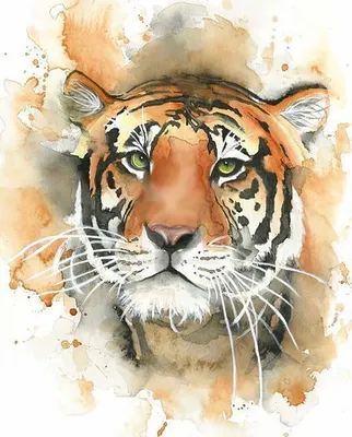Тигр для срисовки - 51 фото