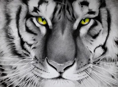 Амурский тигр в стиле Животные на Illustrators.ru