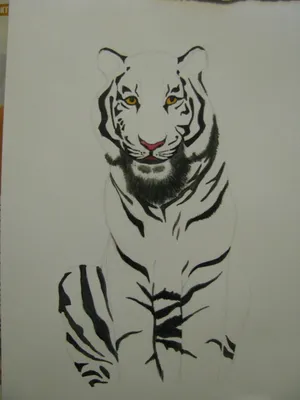 Взгляд тигра - Карандаш