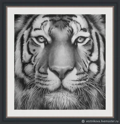Поэтапный рисунок тигра - 66 фото