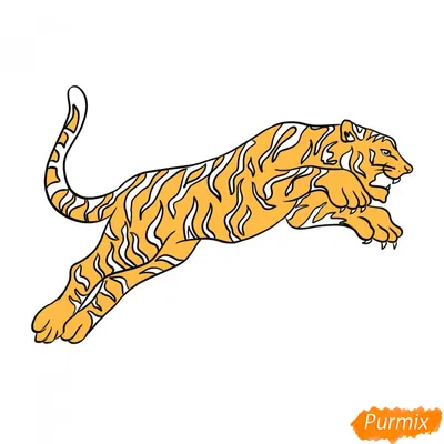 Как нарисовать тигра карандашом поэтапно — 4 рисунка для начинающих