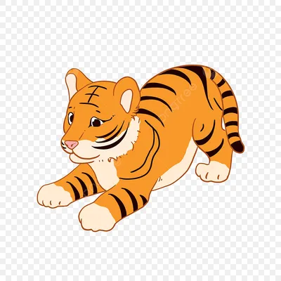 Удивлен рисованной мультфильм маленький тигр клипарт PNG , тигр здесь, тигр  картинки, удивляться PNG картинки и пнг PSD рисунок для бесплатной загрузки