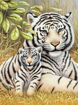 Крупным Планом Вид Тигрицы — стоковые фотографии и другие картинки  Бенгальский тигр - Бенгальский тигр, Большая кошка, Большой - iStock