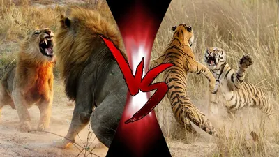 Два сильных зверя: тигр и лев» — создано в Шедевруме