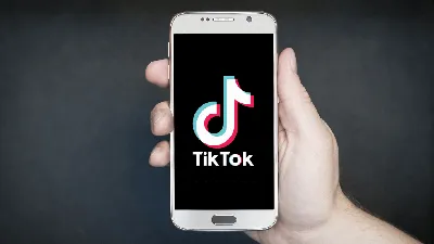 Android Application Video Sharing Apps( Tiktok Clone) at best price in New  Delhi | ID: 22468876748