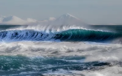 Тихий океан: наш берег