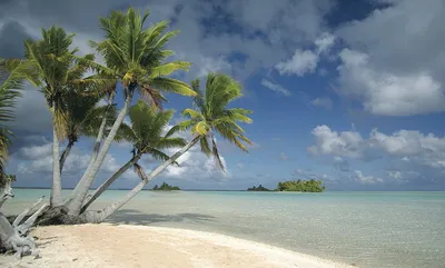 Острова Тихого океана: места для туризма и отдыха, где можно искупаться или  остановиться — Яндекс Путешествия