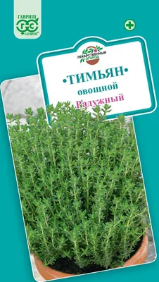 🌱 Тимьян (Чабрец, Чабер) обыкновенный Faustini по цене от 350 руб:  саженцы, рассада - купить в Москве с доставкой - интернет-магазин Все Сорта