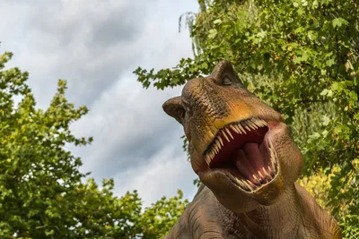 Тираннозавр Тиранозавр Рекс - Бесплатное фото на Pixabay - Pixabay