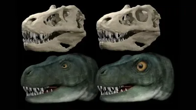 Динозавр, который выглядел как Ти-Рекс, но жил задолго до Ти-Рекса |  Динозаврикус | Дзен