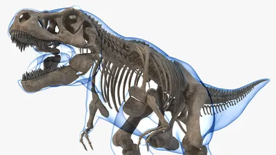 Тираннозавр Рекс! | Песни про Динозавров | Пинкфонг Песни для Детей -  YouTube