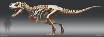 Какого динозавра боялся бы Тираннозавр Рекс? | Динозаврикус | Дзен
