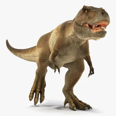 Окаменелое скелета тиранозавра рекса с кожей 3D Модель $139 - .3ds .blend  .c4d .fbx .ma .obj .max .unitypackage .upk .gltf - Free3D