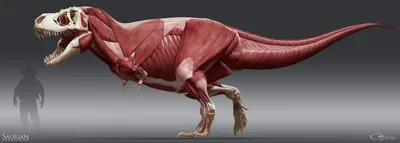 Фигурка Jurassic World Свирепый Тираннозавр Рекс GLC12 купить по цене 20990  ₸ в интернет-магазине Детский мир