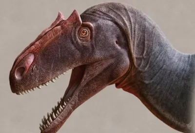 Открыт динозавр, который был опаснее тиранозавра-рекса | Компьютерра