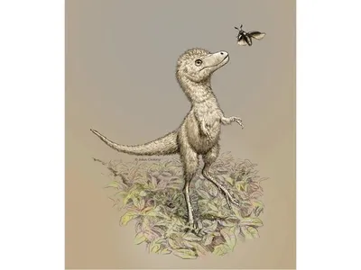Фигурка Тиранозавра 49см Jurassic World (id 104042762), купить в  Казахстане, цена на Satu.kz