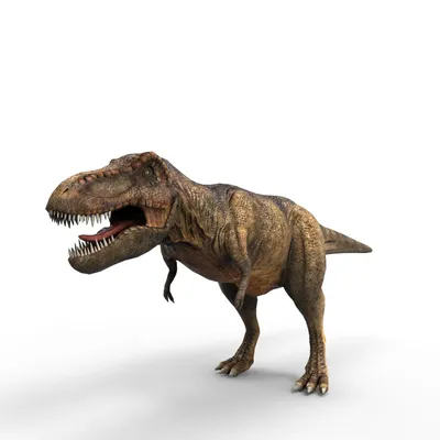 Найдены первые останки детеныша тиранозавра