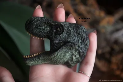 Череп Тиранозавра Hagen Exo-Terra T-rex Skull small купить в Москве по  выгодной цене в зоомагазине «Panteric»