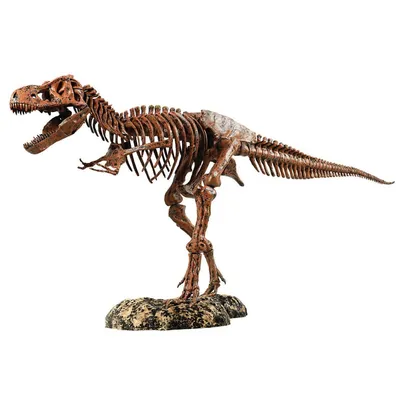 Jurassic World: Dominion. Фигурка Тиранозавра 49см, со светом: купить  игрушечный набор для мальчика по низкой цене в Алматы, Астане, Казахстане |  Meloman