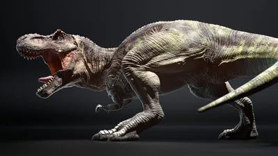 Радиоуправляемый динозавр Ти-Рекс (51 см) - купить в интернет-магазине  Игрушек на пульте управления