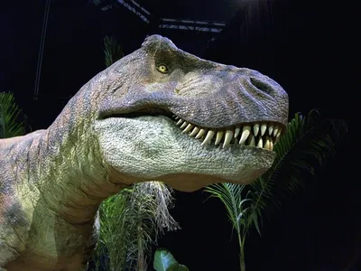Динозавр Mighty Megasaur РУ Ти-Рекс 80081 купить по цене 12150 ₸ в  интернет-магазине Детский мир