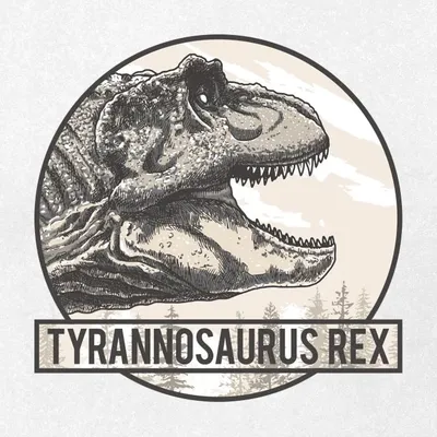 картинки : Хищник, Фауна, тиранозавр Рекс, Динозавр, Опасный,  Доисторические времена, T rex, Плотоядные динозавры, Велоцираптор 4912x3264  - - 928154 - красивые картинки - PxHere
