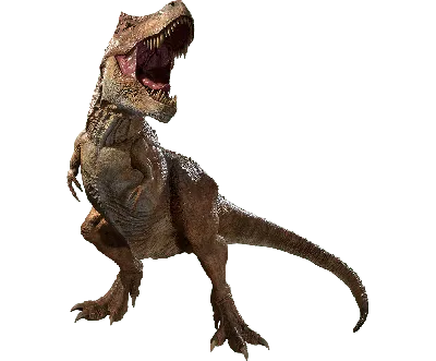 Мир Динозавров: Раскопай скелет Тираннозавра | Купить настольную игру в  магазинах Мосигра