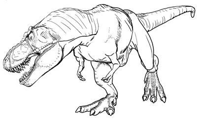 Тираннозавр | Парк Янтарного Периода