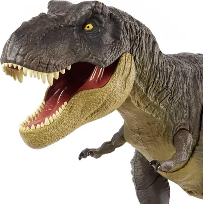 Раскраска Тираннозавр Ти-рекс распечатать или скачать
