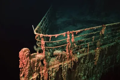 Купить картину маслом Рисунок Титаника от 5700 руб. в галерее DasArt