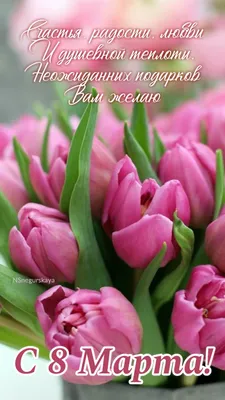красивые открытки с 8 марта фиолетовые цветы