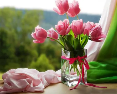 Тюльпаны у окна - Картинка на телефон / Обои на рабочий стол №1361992