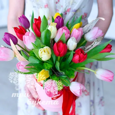 Открытка \"8 Марта\" белые тюльпаны — магазин подарков Макс-ГИФТ