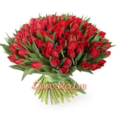 Скачать обои тюльпаны, 8 марта, tulips, поздравление, spring, женский день,  раздел праздники в разрешении 1920x1080