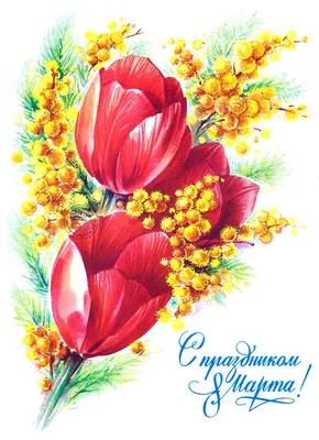 Тюльпаны в Ульяновске к 8 марта будут не дешевле 80 рублей