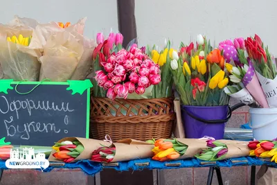 Почему на 8 марта дарят тюльпаны? | Людмила Ш | Дзен