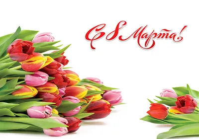 Заказать тюльпаны на 8 марта FL-2301 купить - хорошая цена на тюльпаны на 8  марта с доставкой - FLORAN.com.ua