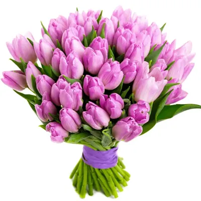 Тюльпаны розовые 51 шт. купить с доставкой в Москве. Цена от 8415 ₽