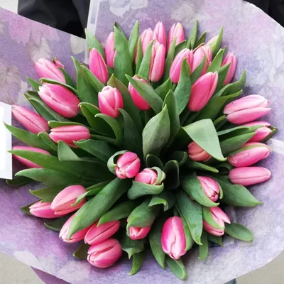 Фотообои Розовые тюльпаны на заказ любой размер, код:203 | ЭкоПринт