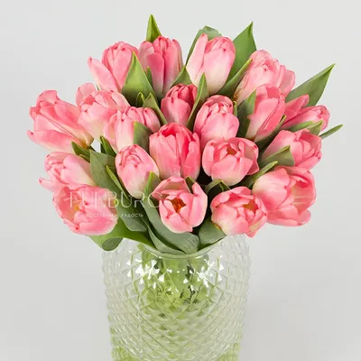 Розовые тюльпаны купить оптом в СПб ✿ Оптовая цветочная компания СПУТНИК